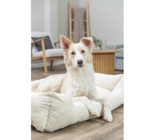 Trixie Vital Bett Jonna - creme - 60 × 50 cm