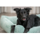 Trixie Vital Bett Jonna - salbei - 80 × 60 cm