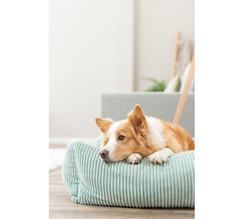 Trixie Vital Bett Jonna - salbei - 80 × 60 cm