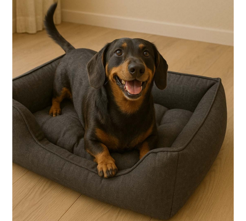 Duvoplus Hundebett Duratex - dunkelgrau - 60x45x16cm
