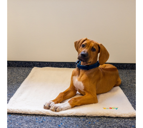 Nobby Liegematte Puppy - elfenbeinfarben