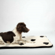 EBI Coockoo Hundedecke Domino Dream - 120x60cm