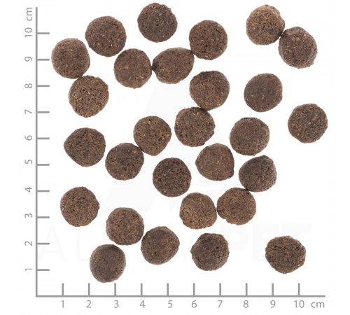 Diät-Alleinfuttermittel für Hunde – Wolfsblut VetLine Renal 12 kg