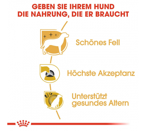 Trockenfutter für Hunde – Royal Canin Yorkshire Terrier Adult 500 g