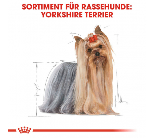 Trockenfutter für Hunde – Royal Canin Yorkshire Terrier Adult 500 g