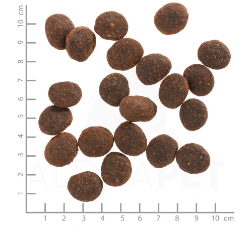 Trockenfutter für Hunde – Wolfsblut Black Marsh Adult 12,5 kg