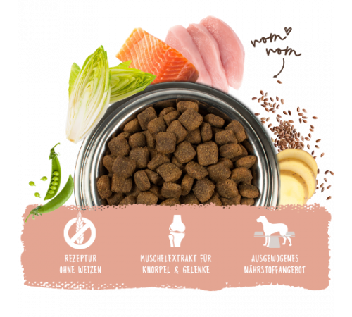 bosch HPC Adult mit Lachs & Kartoffel 3 kg