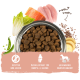 bosch HPC Adult mit Lachs & Kartoffel 3 kg