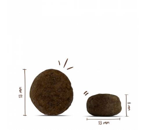 bosch HPC Sensitive Lamm & Reis 1 kg
