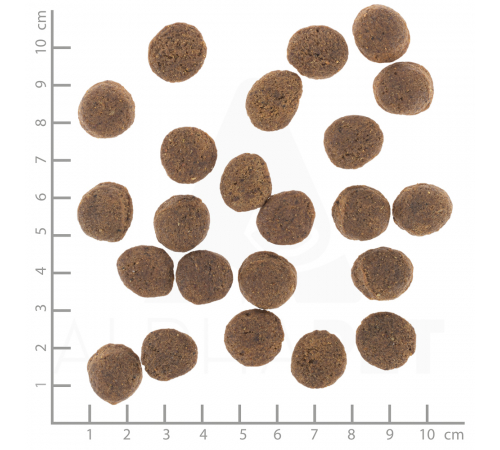 Diät-Alleinfuttermittel für Hunde – Wolfsblut VetLine Gastrointestinal 12 kg