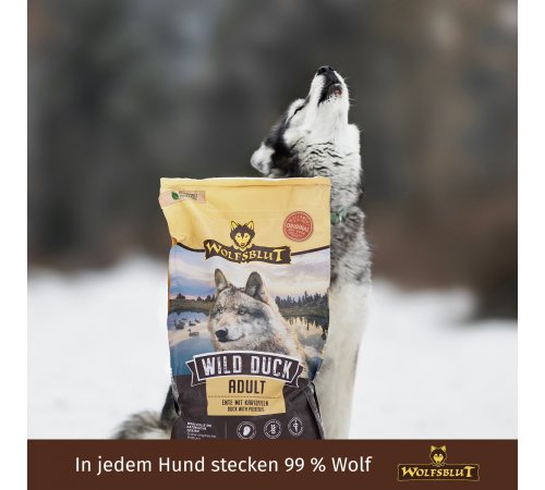 Сухой корм для собак – Wolfsblut Wild Duck Adult 2 kg