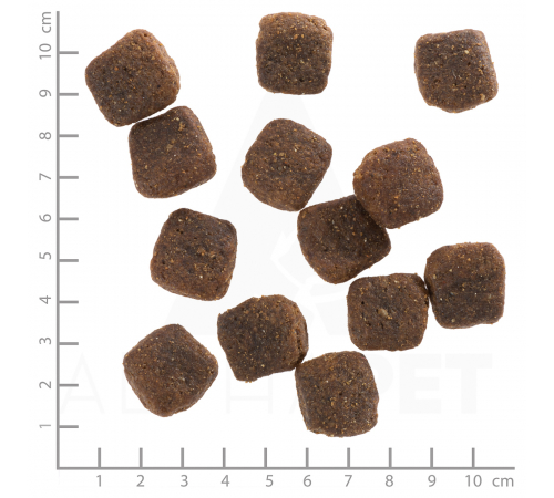 Сухой корм для собак – Wolfsblut Wild Duck Large Breed 12,5 kg