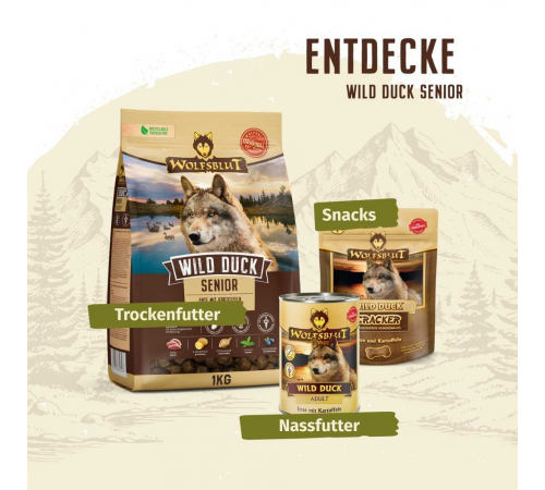 Trockenfutter für Hunde – Wolfsblut Wild Duck Senior 2 kg