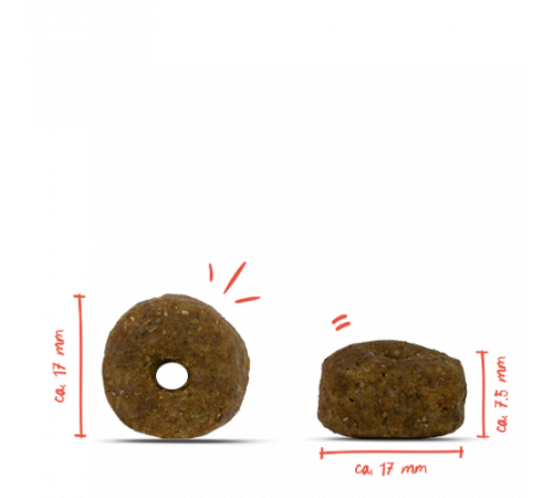 bosch HPC Insect Adult Tapioka & Äpfel 10 kg