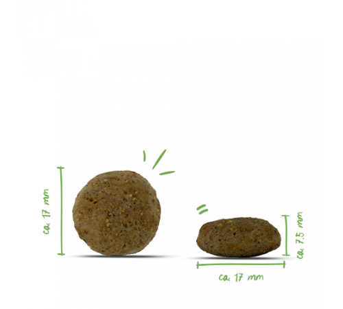 bosch HPC VEGAN Adult Kartoffeln & Erbsen 10 kg