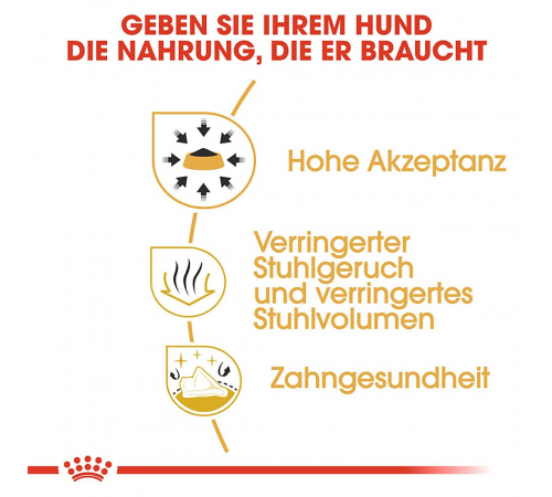 Trockenfutter für Hunde – Royal Canin Chihuahua Adult 3 kg