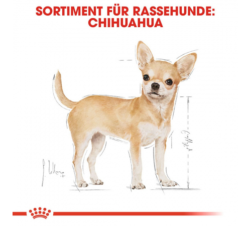 Trockenfutter für Hunde – Royal Canin Chihuahua Adult 3 kg