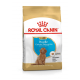 Trockenfutter für Hunde – Royal Canin Pudel Puppy 3 kg