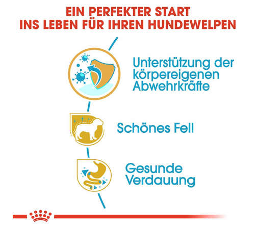 Trockenfutter für Hunde – Royal Canin Pudel Puppy 3 kg