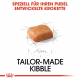 Trockenfutter für Hunde – Royal Canin Pudel Puppy 3 kg