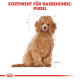 Trockenfutter für Hunde – Royal Canin Pudel Puppy 3 kg