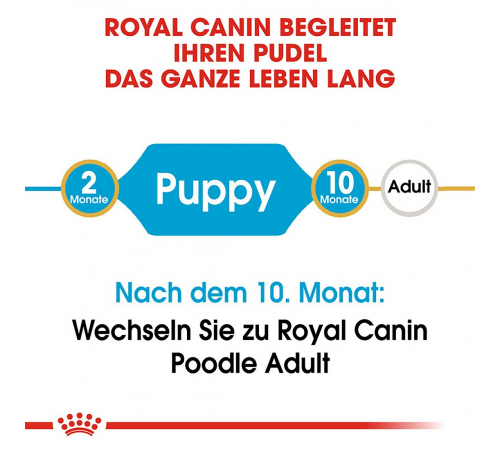 Trockenfutter für Hunde – Royal Canin Pudel Puppy 3 kg