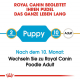 Trockenfutter für Hunde – Royal Canin Pudel Puppy 3 kg