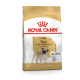 Trockenfutter für Hunde – Royal Canin Pug Adult 1,5 kg