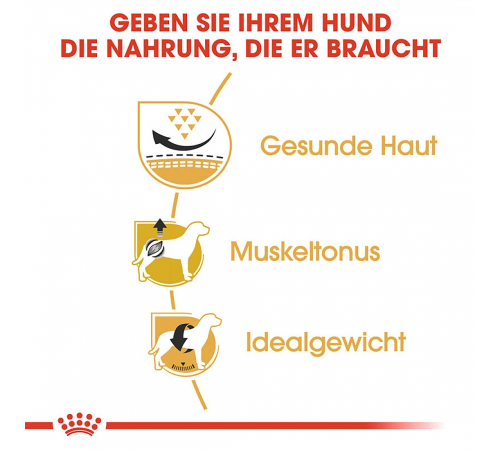 Trockenfutter für Hunde – Royal Canin Pug Adult 1,5 kg