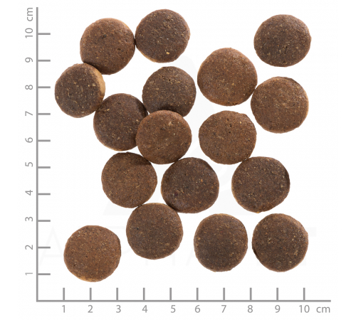 Trockenfutter für Hunde – Wolfsblut Red Rock Adult 2 kg