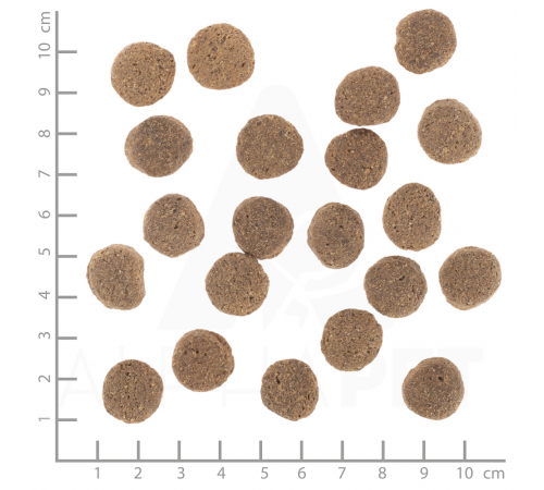 Diät-Alleinfuttermittel für Hunde – Wolfsblut VetLine Weight Management 2 kg