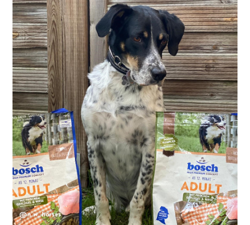 bosch HPC Adult mit Geflügel und Hirse 1 kg