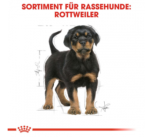 Сухий корм для собак – Royal Canin Rottweiler Puppy 12 kg