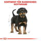 Сухий корм для собак – Royal Canin Rottweiler Puppy 12 kg