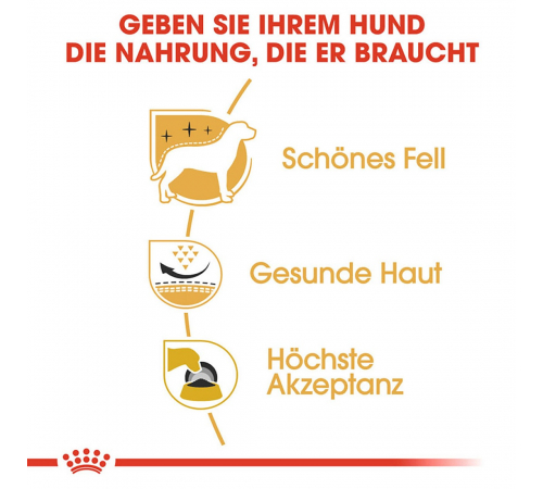 Trockenfutter für Hunde – Royal Canin West Highland White Terrier Adult 3 kg