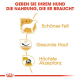 Trockenfutter für Hunde – Royal Canin West Highland White Terrier Adult 3 kg