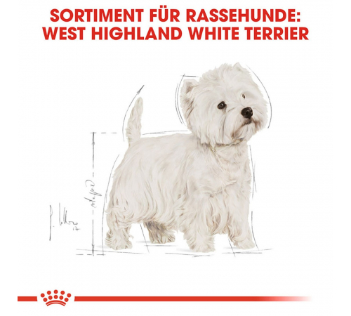 Trockenfutter für Hunde – Royal Canin West Highland White Terrier Adult 3 kg