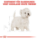 Trockenfutter für Hunde – Royal Canin West Highland White Terrier Adult 3 kg