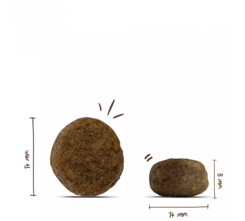 bosch HPC Sensitive Ente & Kartoffel 1 kg