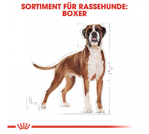 Сухий корм для собак – Royal Canin Boxer Adult 12 kg