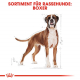Сухий корм для собак – Royal Canin Boxer Adult 12 kg