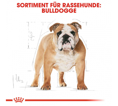 Сухой корм для собак – Royal Canin Bulldog Adult 12 kg