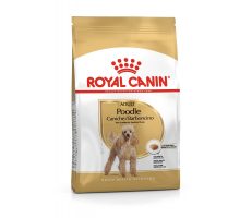 Royal Canin Pudel Adult 500 g