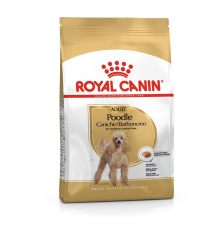 Royal Canin Pudel Adult 1,5 kg