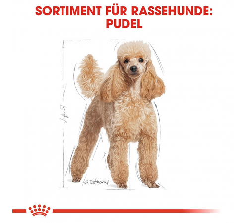 Сухий корм для собак – Royal Canin Pudel Adult 1,5 kg