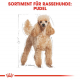 Сухий корм для собак – Royal Canin Pudel Adult 1,5 kg