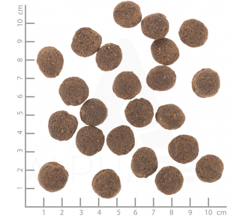Diät-Alleinfuttermittel für Hunde – Wolfsblut VetLine Hypoallergenic 2 kg