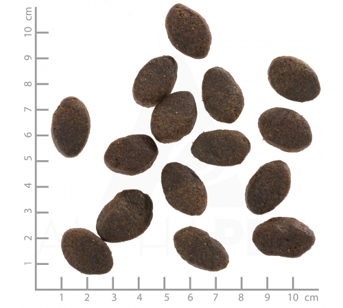 Trockenfutter für Hunde – Wolfsblut Wild Pacific Adult 12,5 kg