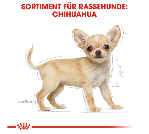 Сухий корм для собак – Royal Canin Chihuahua Puppy 1,5 kg