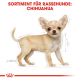 Сухий корм для собак – Royal Canin Chihuahua Puppy 1,5 kg